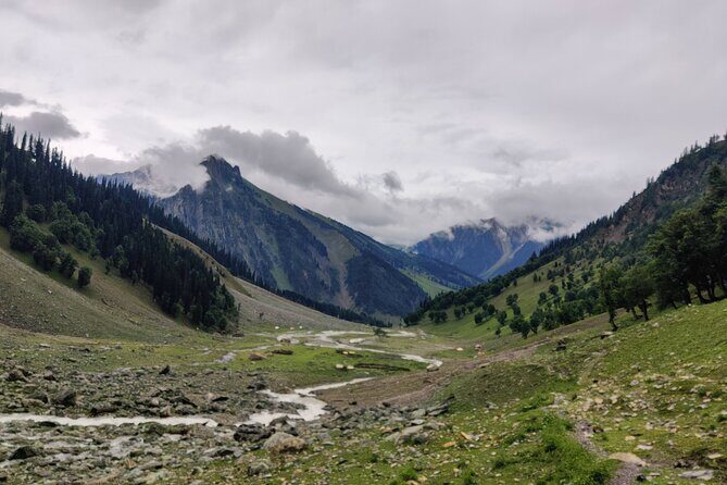 The Best Monsoon Trek: Kashmir Great Lakes - What Makes This Trek Special?