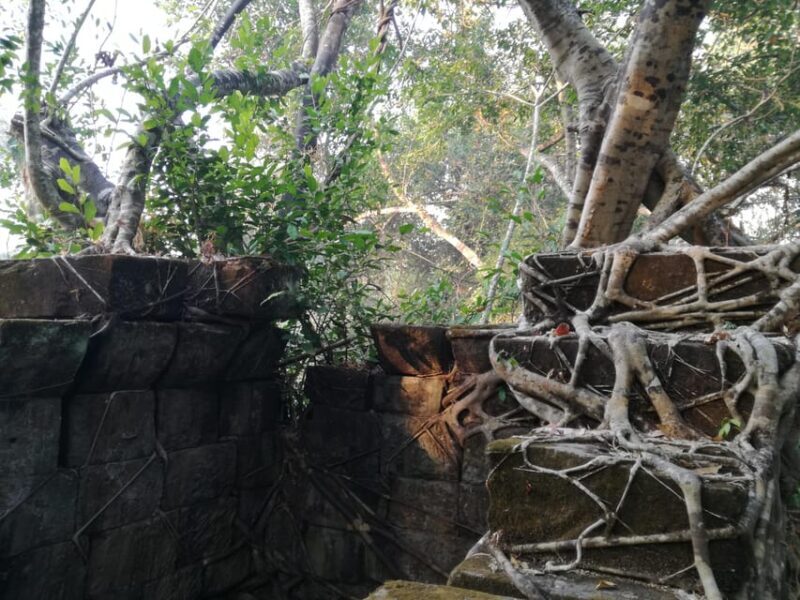 The Best of Angkor Temples 2 Day Private Tour - Who Should Consider This Tour