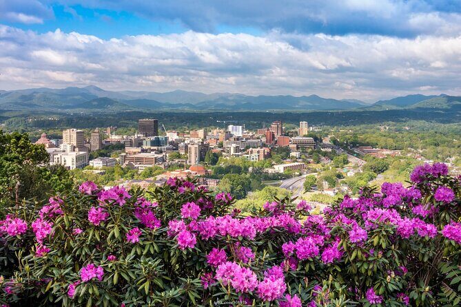 The Best of Asheville: Private 2.5-hour Walking Tour - Sampling Asheville’s Craft Beer Scene