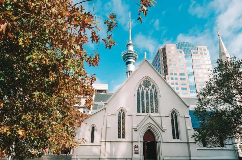 The Best of Auckland Private Walking Tour - Practical Tips