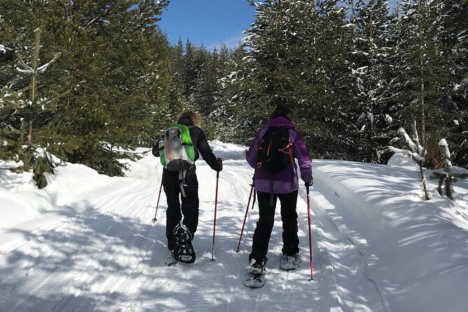 The Best of Bansko: Magical Snowshoeing Adventure & SPA - Key Points