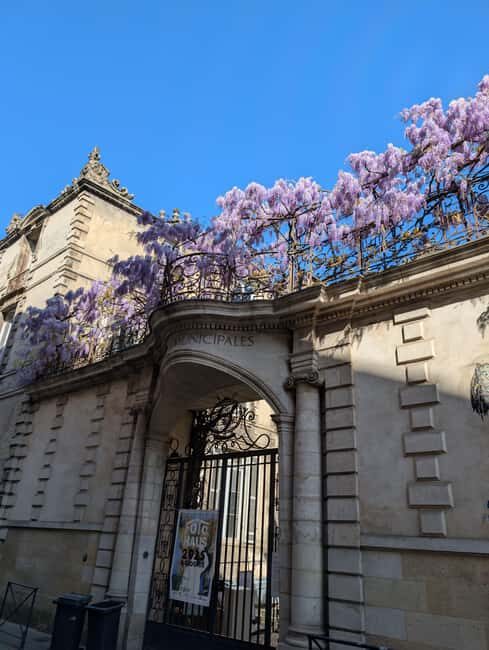 The Best of Bordeaux Walking Tour + 1 Glass of Wine - A Thorough Look at the Bordeaux Walking Tour