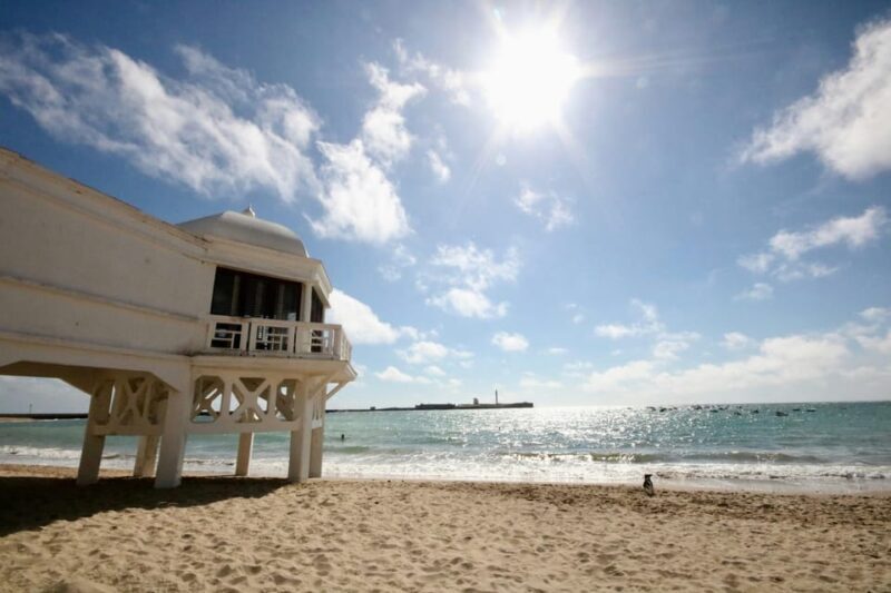 The Best of Cadiz - Private Walking Tour - The Best of Cadiz - Private Walking Tour