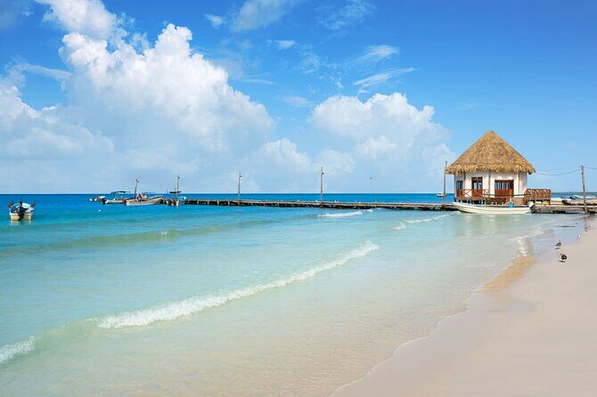 The Best of Holbox Bird Island, Passion Island and Yalahau Cenote - Key Points