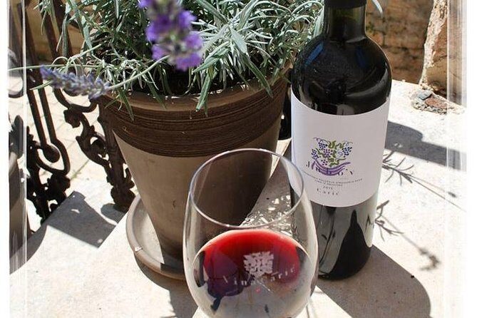 The Best of Hvar Small Group with Wine Tasting and Local meal - Introduction to the Experience