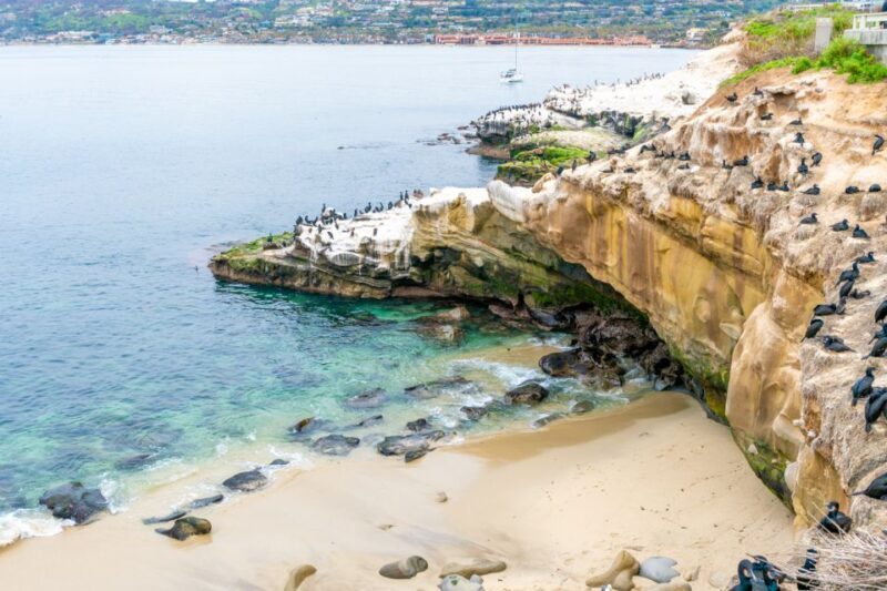The Best of La Jolla Walking Tour - Sip, Savor & Sea - A Genuine Look at the La Jolla Walking Tour