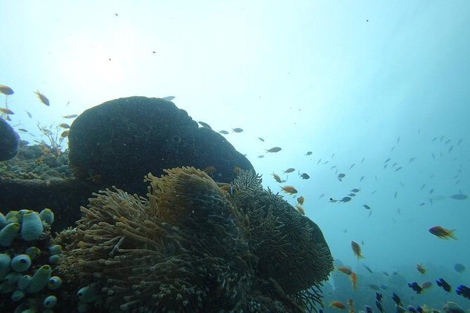 The Best Of Maldives For Solo Traveler - The Sum Up