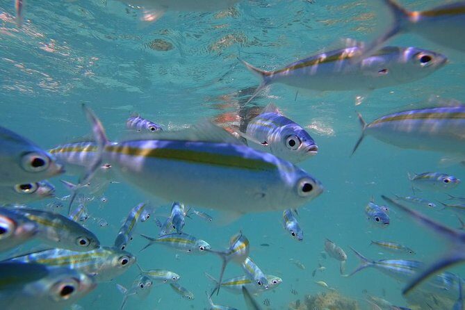 The Best Of Maldives For Solo Traveler - Frequently Asked Questions