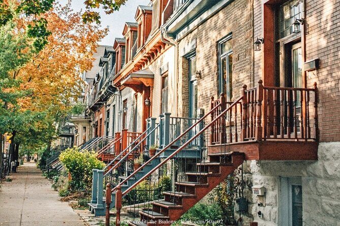 The Best of Montreal: Private Highlights Driving Tour - The Neighborhoods and Street Art Scene