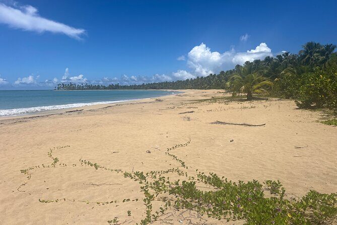 The Best of Puerto Plata Private Sightseeing Tour Combo - Authentic Traveler Insights