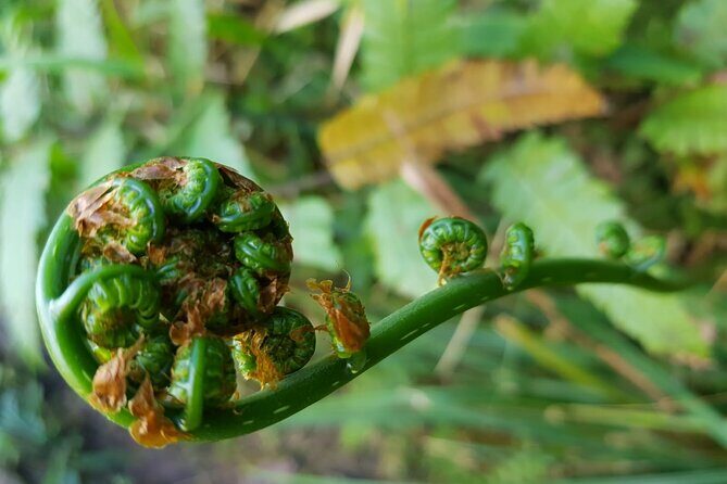 The Best of Puerto Rico Private Day Tour - Final Thoughts