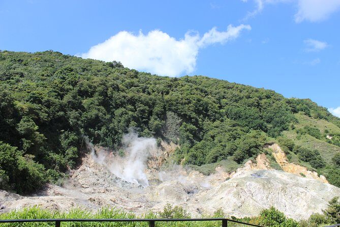 The Best of Saint Lucia Tour - Who Would Love This Tour?