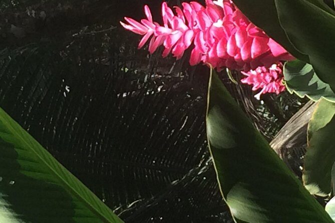 The Best of Saint Lucia Tour - The Sum Up