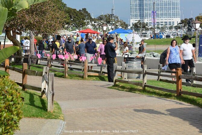 The Best of San Diego: Private Walking Tour including USS Midway - Why This Tour Works Well