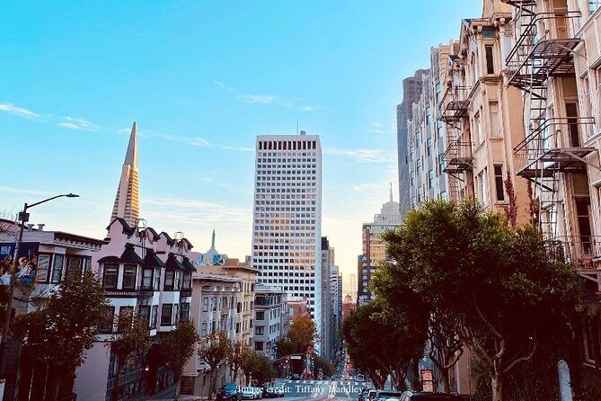 The Best of San Francisco: Private Half-Day Walking Tour - What to Expect from the Itinerary