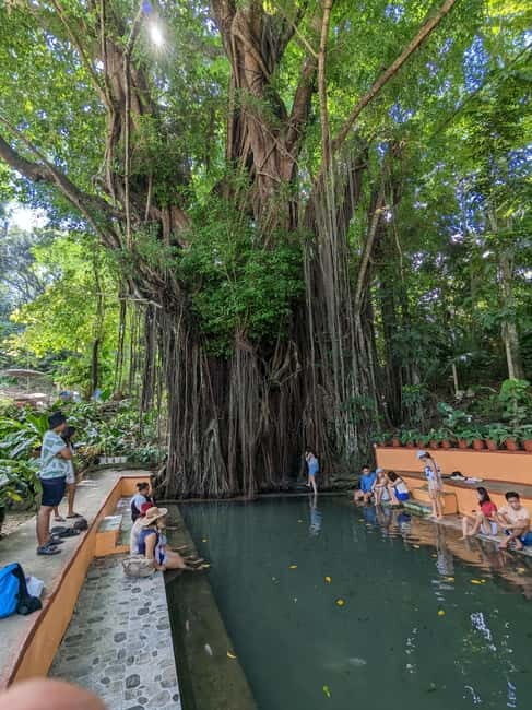 The Best of Siquijor Island Tour - Key Points