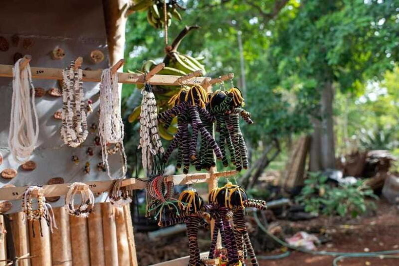 The Best of Siquijor Island Tour - FAQ