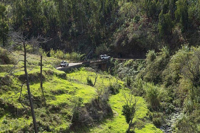 The Best of the South - Jeep Safari - Full Day - Shared Tour - Who Should Consider This Tour?