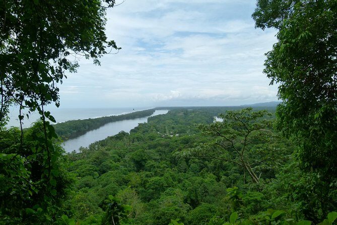 The best of Tortuguero: Canoe, hike and night tour (turtle in Jul-Oct) - Who Is This Tour Best Suited For?