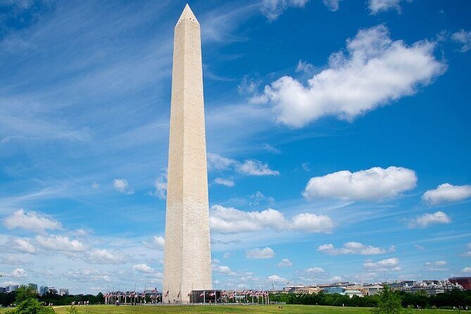 The Best of Washington DC: Private Full-Day Walking Tour - Exploring the Heart of Washington DC: A Detailed Look