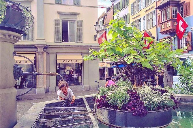 The Best of Zurich Including Panoramic Views in a Small Group Walking Tour - Who Will Love This Tour?