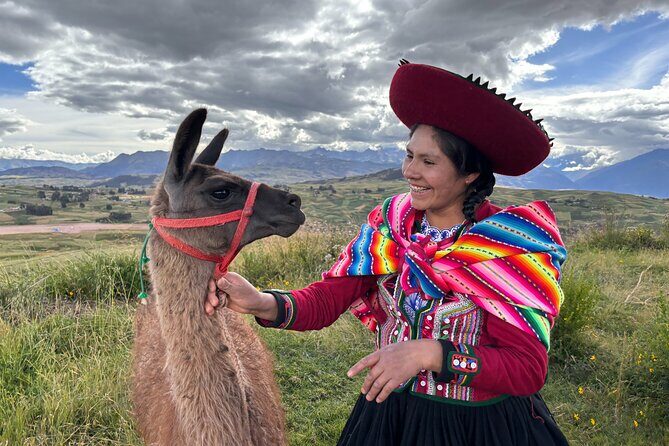 the best sacred valley tour: walk with Alpacas,culture experience - Key Points