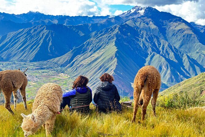 the best sacred valley tour: walk with Alpacas,culture experience - Final Thoughts