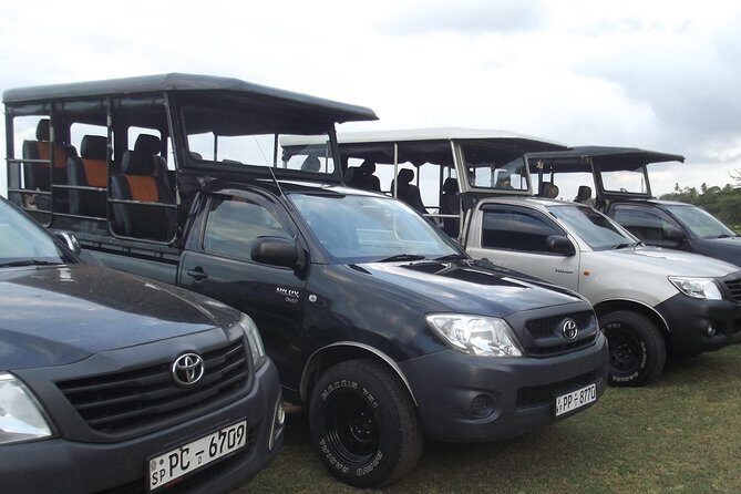 The Best Safari tour from Hambantota Port (Janaka safari) - The Best Safari Tour from Hambantota Port (Janaka Safari)