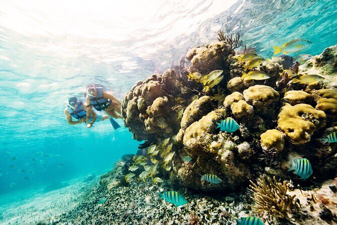 The best Speed Boat and Snorkeling in Cancun "Jungle Tour Adventure " - Possible Drawbacks