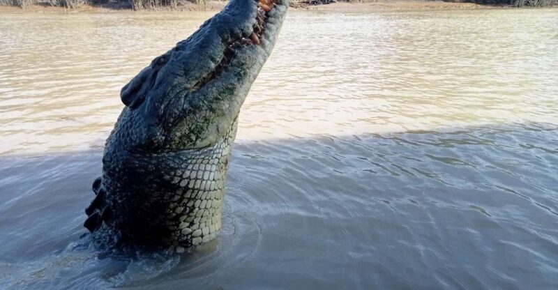 The best tour of Litchfield and crocodiles on the river - Key Points
