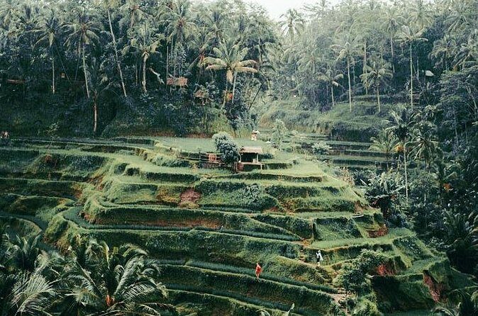 The Best Ubud Experience in a Full-Day Private Tour - Free WIFI - FAQ