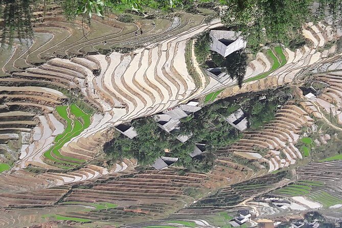 The best view and most authentic tour in Sapa (Non Touristy) - The Sum Up