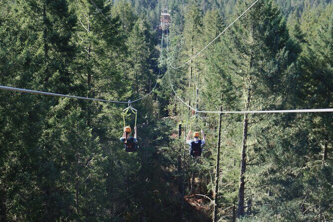 The Big Zip Experience - The Big Zip Experience: A Thrilling Ride Over Sooke Basin