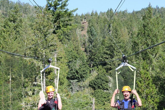 The Big Zip Experience - Key Points