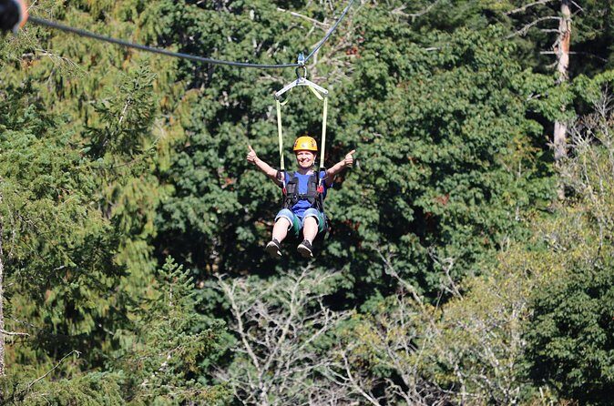 The Big Zip Experience - Final Thoughts