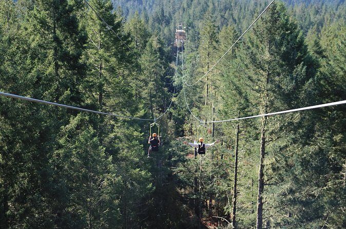 The Big Zip Experience - FAQs