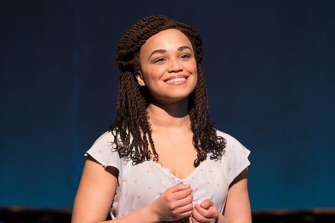 The Book of Mormon on Broadway Ticket - Who Should Consider This Experience?