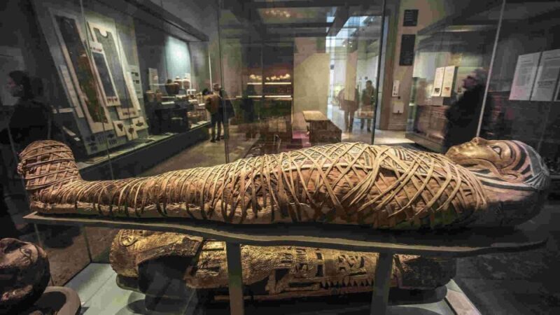 The British Museum London: Private Guided Tour - 3 hour - Final Thoughts