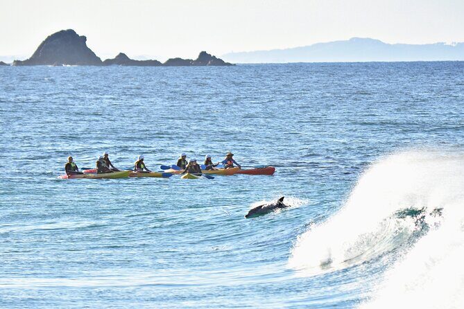 The Byron Bay Sea Kayak Tour - The Sum Up: Who Should Consider This Tour?
