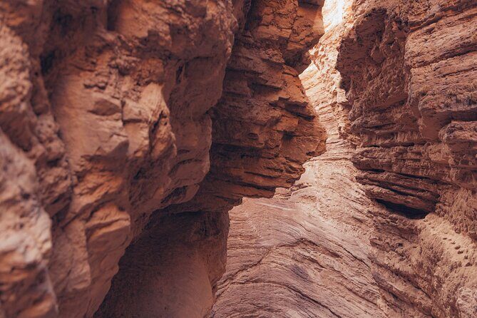 The Calchaqui Valley Winery and Scenery Tour in Cafayate - Key Points