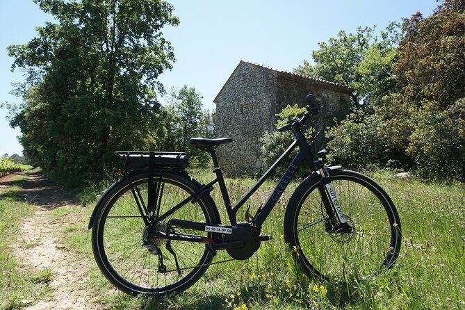 The Carrières de Lumières by e-bike - What Does This Tour Offer in Terms of Value?