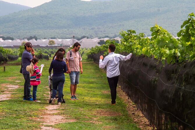 The Cheese and Wine Route - Who Should Consider This Tour?