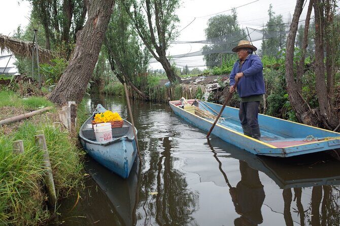 The City Green Exploring the Urban Eco Reserve of Xochimilco - Key Points