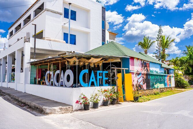 The Coffee Experience - A Flavorful Dive into Dominican Coffee: The Color Cafe Experience