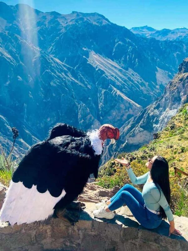 The Colca Canyon and Condor viewpoint +Chivay - Key Points