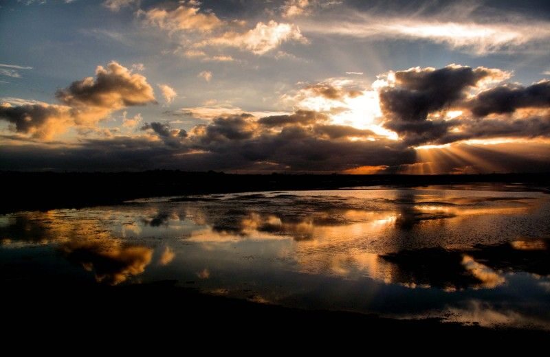 The Colors of Ria Formosa: Sunset Boat Trip in Faro - Final Thoughts on the Sunset Ria Formosa Boat Trip