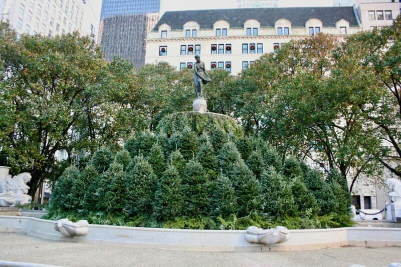 The Comedy Bus Tour of NYC - Key Points