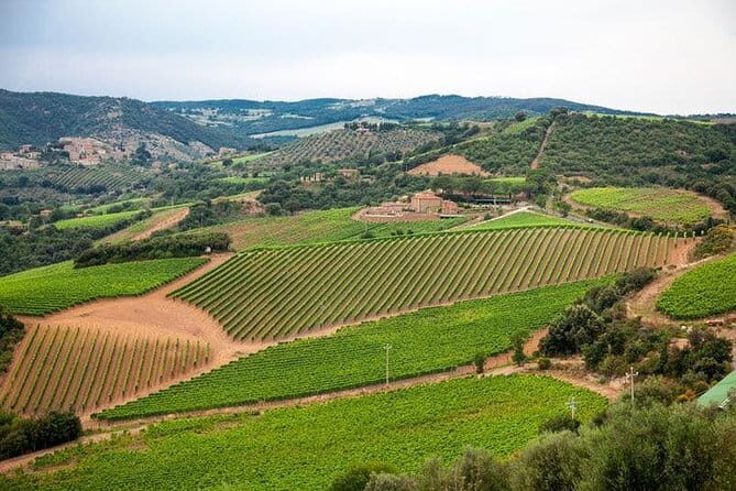 The Complete Wine Tour Brunello, Nobile, Chianti wine experience - Authentic Insights from Reviews