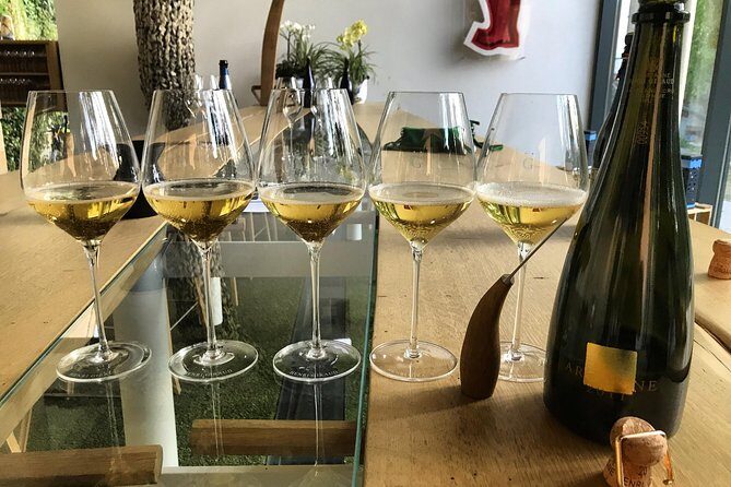 The Connoisseurs from Reims (Private Half day Tour) - What Travelers Love and Why