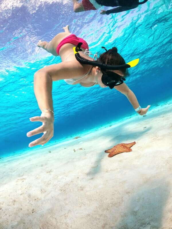 The Cozumel Turtle Sanctuary Snorkel Tour - An In-Depth Look at the Cozumel Turtle Sanctuary Snorkel Tour